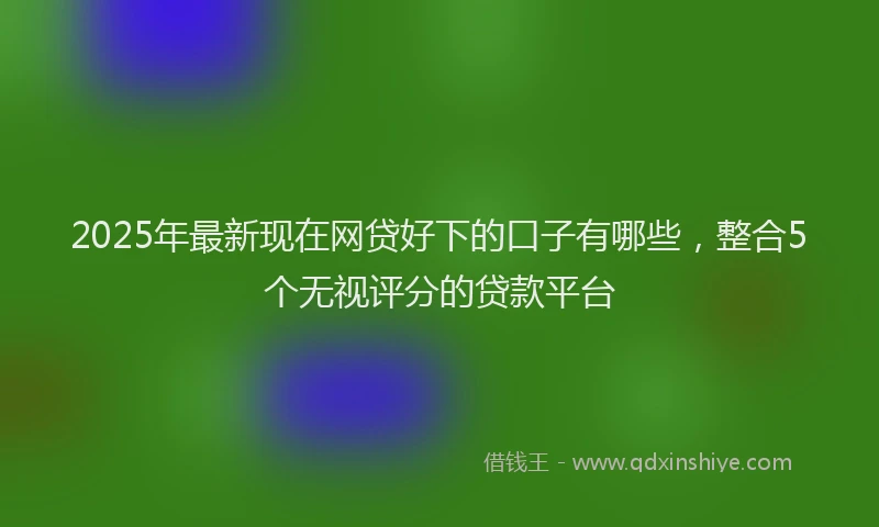 2025年最新现在网贷好下的口子有哪些，整合5个无视评分的贷款平台