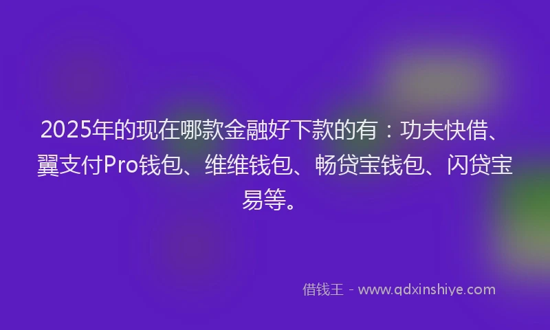 2025年的现在哪款金融好下款的有：功夫快借、翼支付Pro钱包、维维钱包、畅贷宝钱包、闪贷宝易等。