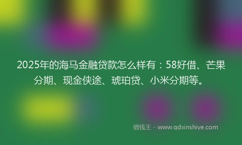 2025年的海马金融贷款怎么样有：58好借、芒果分期、现金侠途、琥珀贷、小米分期等。