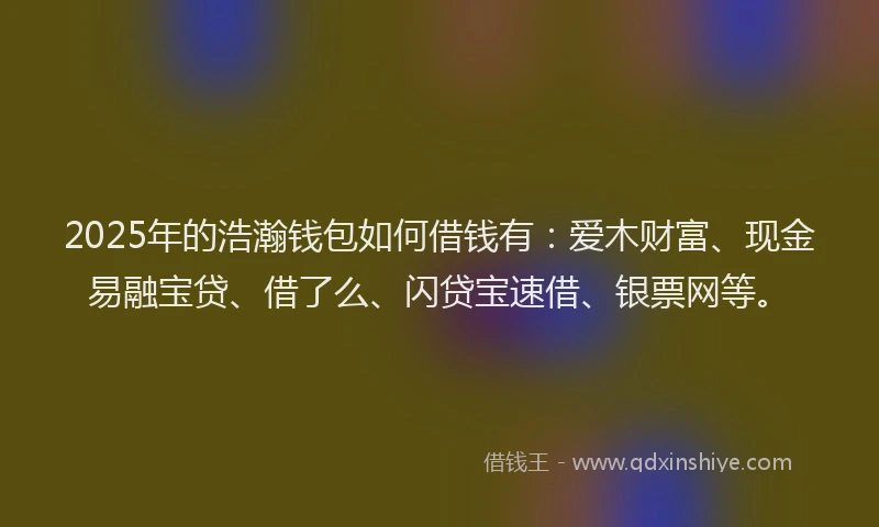 2025年的浩瀚钱包如何借钱有：爱木财富、现金易融宝贷、借了么、闪贷宝速借、银票网等。