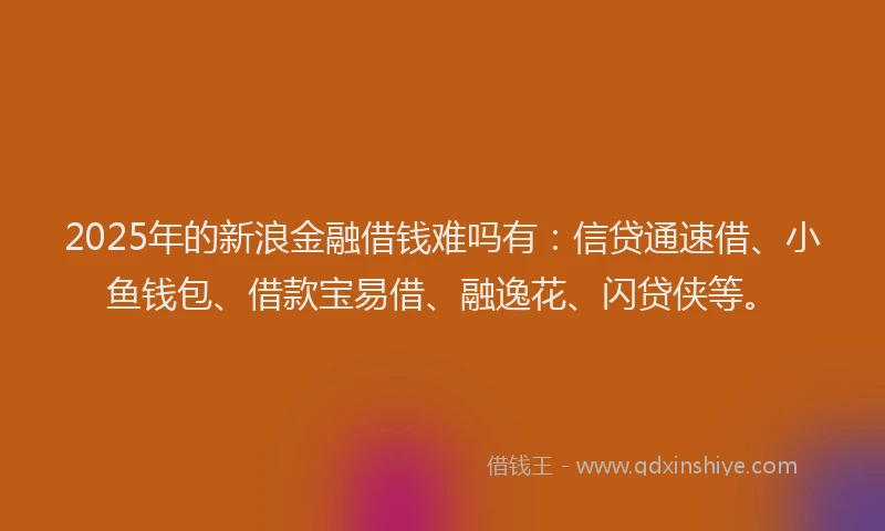 2025年的新浪金融借钱难吗有：信贷通速借、小鱼钱包、借款宝易借、融逸花、闪贷侠等。