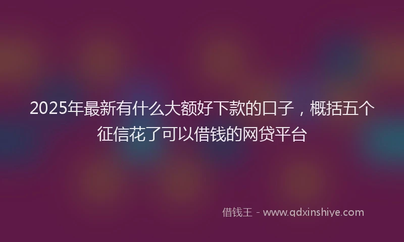 2025年最新有什么大额好下款的口子，概括五个征信花了可以借钱的网贷平台