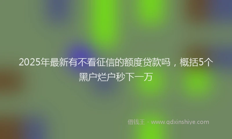 2025年最新有不看征信的额度贷款吗，概括5个黑户烂户秒下一万