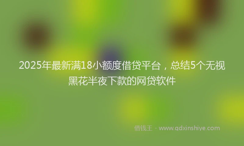 2025年最新满18小额度借贷平台，总结5个无视黑花半夜下款的网贷软件