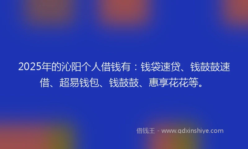 2025年的沁阳个人借钱有：钱袋速贷、钱鼓鼓速借、超易钱包、钱鼓鼓、惠享花花等。