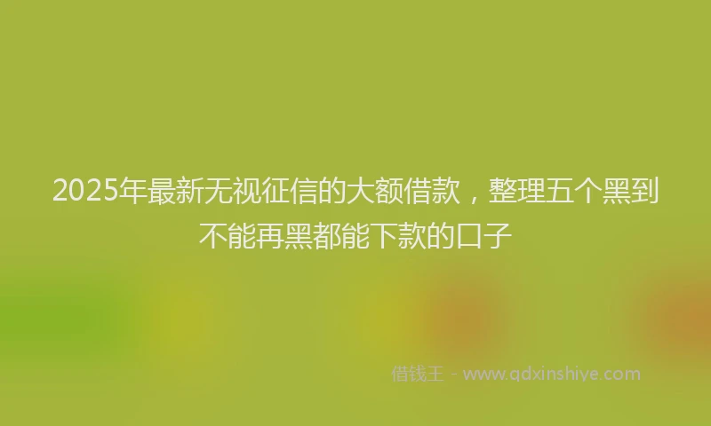 2025年最新无视征信的大额借款，整理五个黑到不能再黑都能下款的口子