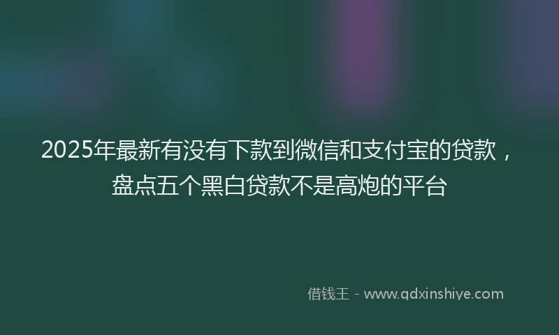 2025年最新有没有下款到微信和支付宝的贷款，盘点五个黑白贷款不是高炮的平台