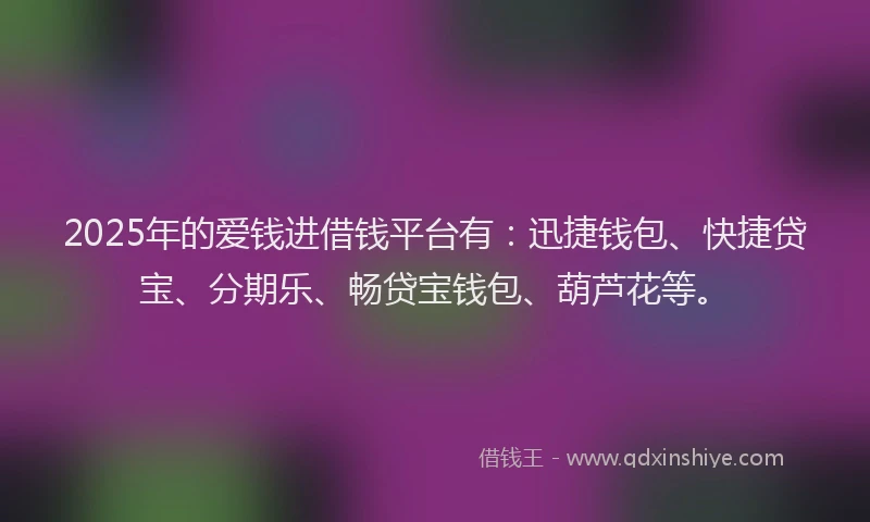 2025年的爱钱进借钱平台有：迅捷钱包、快捷贷宝、分期乐、畅贷宝钱包、葫芦花等。