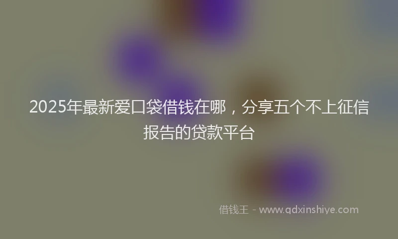 2025年最新爱口袋借钱在哪，分享五个不上征信报告的贷款平台