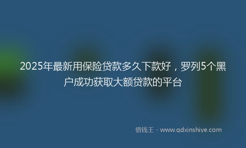 2025年最新用保险贷款多久下款好，罗列5个黑户成功获取大额贷款的平台