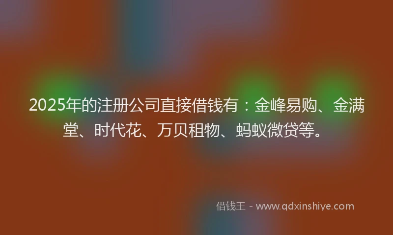 2025年的注册公司直接借钱有：金峰易购、金满堂、时代花、万贝租物、蚂蚁微贷等。