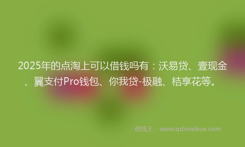 2025年的点淘上可以借钱吗有：沃易贷、壹现金、翼支付Pro钱包、你我贷-极融、桔享花等。