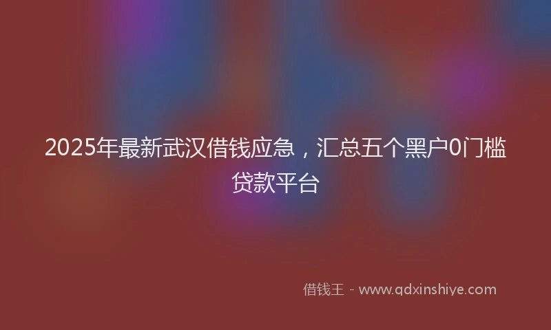 2025年最新武汉借钱应急，汇总五个黑户0门槛贷款平台
