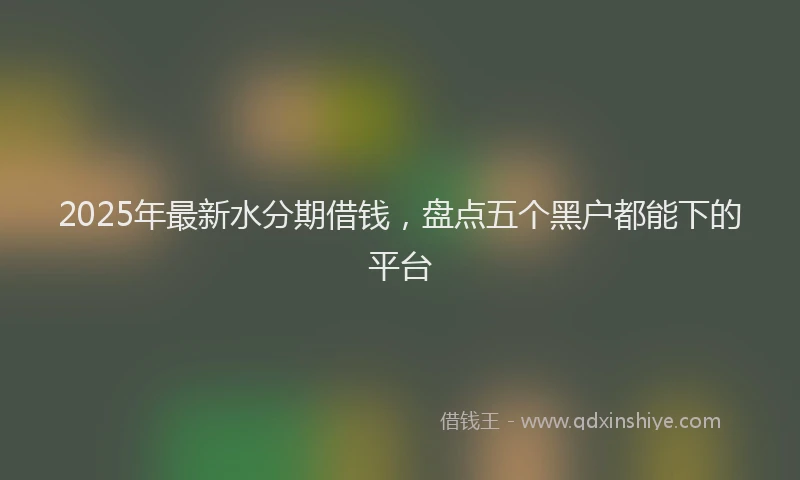 2025年最新水分期借钱，盘点五个黑户都能下的平台