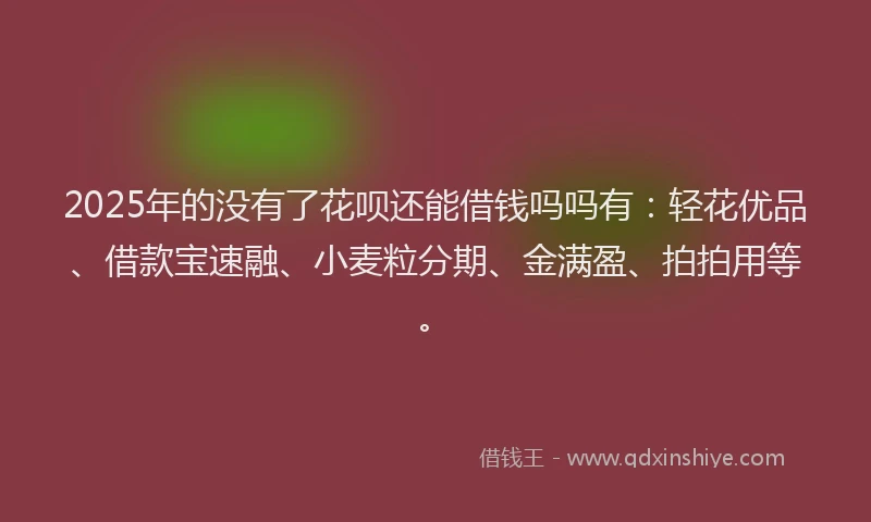 2025年的没有了花呗还能借钱吗吗有：轻花优品、借款宝速融、小麦粒分期、金满盈、拍拍用等。