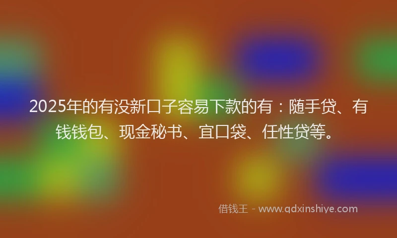 2025年的有没新口子容易下款的有：随手贷、有钱钱包、现金秘书、宜口袋、任性贷等。