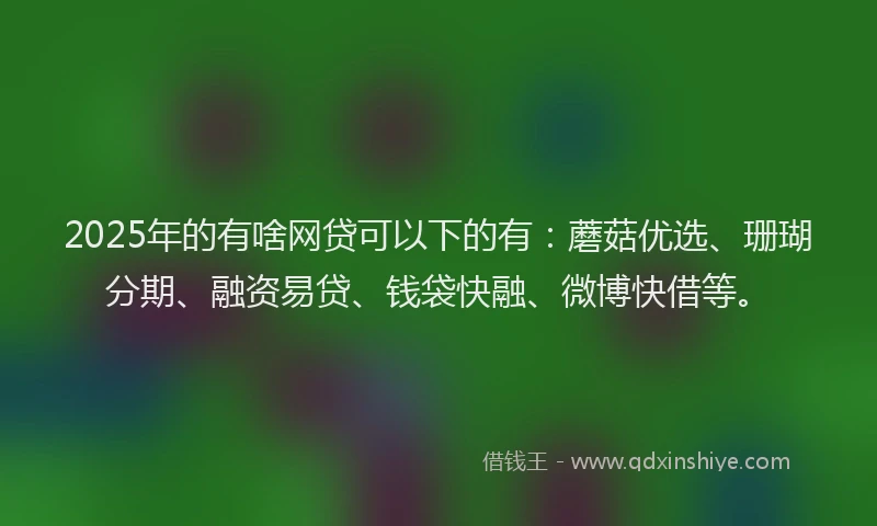 2025年的有啥网贷可以下的有：蘑菇优选、珊瑚分期、融资易贷、钱袋快融、微博快借等。