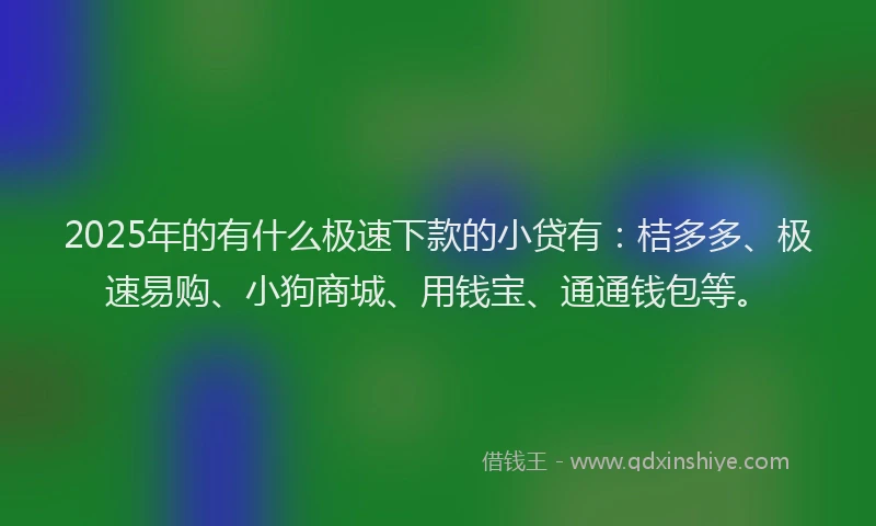 2025年的有什么极速下款的小贷有：桔多多、极速易购、小狗商城、用钱宝、通通钱包等。
