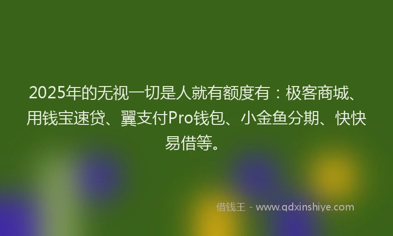 2025年的无视一切是人就有额度有：极客商城、用钱宝速贷、翼支付Pro钱包、小金鱼分期、快快易借等。