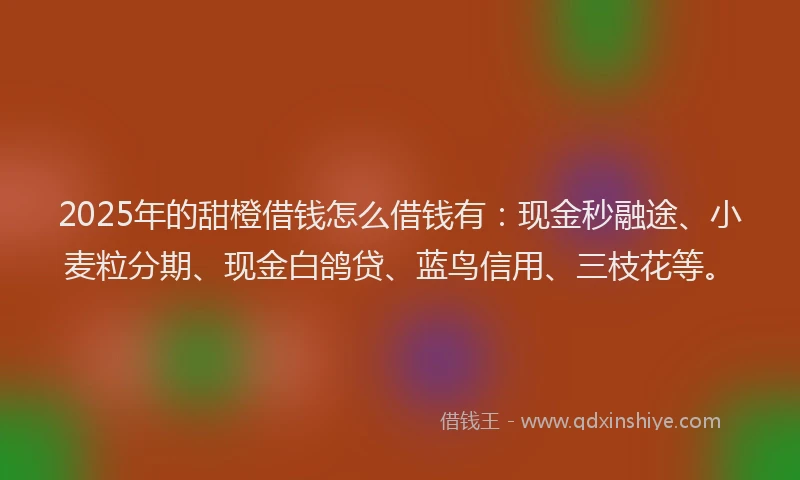 2025年的甜橙借钱怎么借钱有：现金秒融途、小麦粒分期、现金白鸽贷、蓝鸟信用、三枝花等。