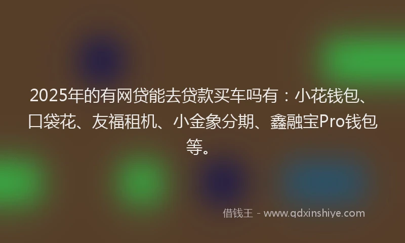 2025年的有网贷能去贷款买车吗有：小花钱包、口袋花、友福租机、小金象分期、鑫融宝Pro钱包等。