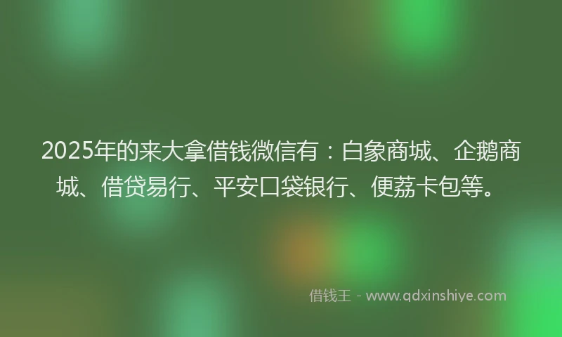 2025年的来大拿借钱微信有：白象商城、企鹅商城、借贷易行、平安口袋银行、便荔卡包等。