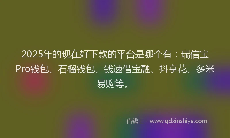 2025年的现在好下款的平台是哪个有：瑞信宝Pro钱包、石榴钱包、钱速借宝融、抖享花、多米易购等。