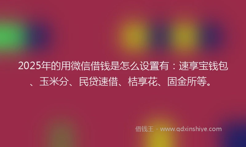 2025年的用微信借钱是怎么设置有：速享宝钱包、玉米分、民贷速借、桔享花、固金所等。