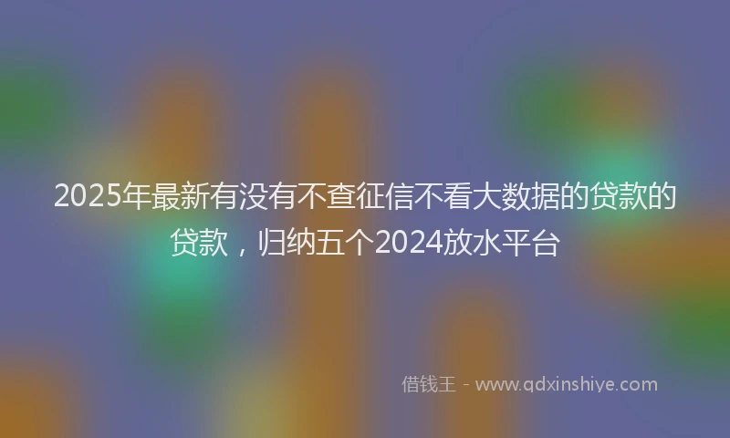 2025年最新有没有不查征信不看大数据的贷款的贷款，归纳五个2024放水平台