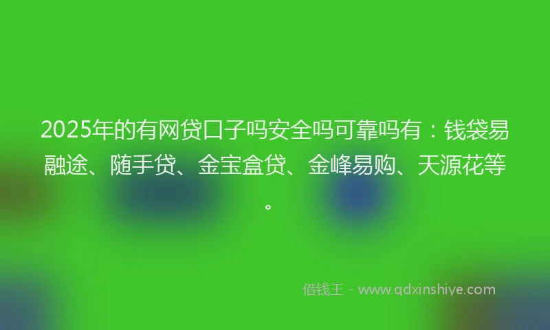 2025年的有网贷口子吗安全吗可靠吗有：钱袋易融途、随手贷、金宝盒贷、金峰易购、天源花等。