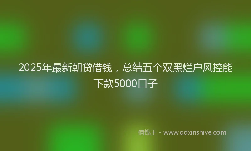 2025年最新朝贷借钱，总结五个双黑烂户风控能下款5000口子