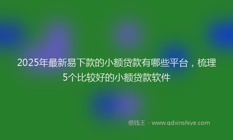 2025年最新易下款的小额贷款有哪些平台，梳理5个比较好的小额贷款软件