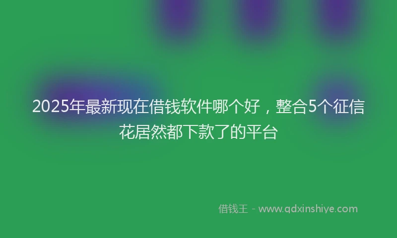 2025年最新现在借钱软件哪个好，整合5个征信花居然都下款了的平台