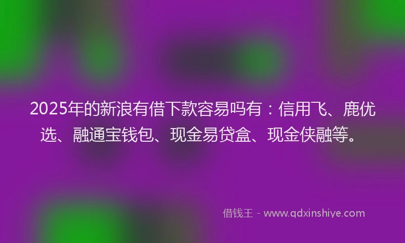 2025年的新浪有借下款容易吗有：信用飞、鹿优选、融通宝钱包、现金易贷盒、现金侠融等。