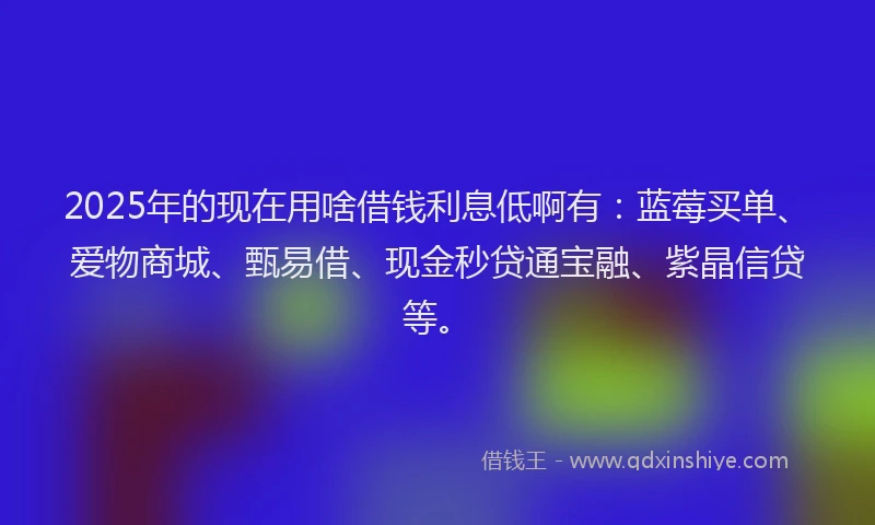2025年的现在用啥借钱利息低啊有：蓝莓买单、爱物商城、甄易借、现金秒贷通宝融、紫晶信贷等。