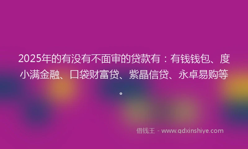 2025年的有没有不面审的贷款有：有钱钱包、度小满金融、口袋财富贷、紫晶信贷、永卓易购等。