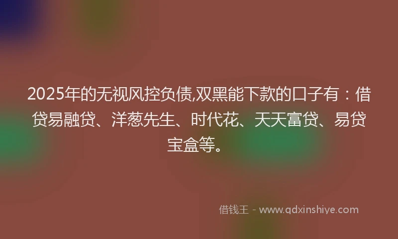 2025年的无视风控负债,双黑能下款的口子有：借贷易融贷、洋葱先生、时代花、天天富贷、易贷宝盒等。