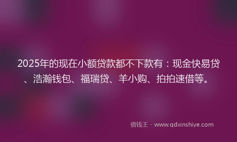 2025年的现在小额贷款都不下款有：现金快易贷、浩瀚钱包、福瑞贷、羊小购、拍拍速借等。