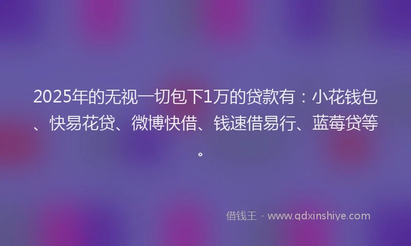 2025年的无视一切包下1万的贷款有：小花钱包、快易花贷、微博快借、钱速借易行、蓝莓贷等。