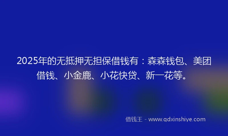 2025年的无抵押无担保借钱有：森森钱包、美团借钱、小金鹿、小花快贷、新一花等。