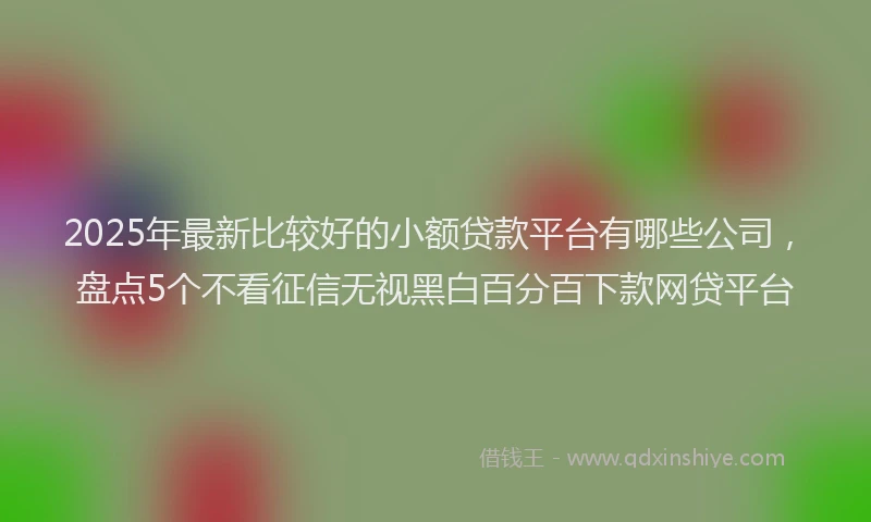 2025年最新比较好的小额贷款平台有哪些公司，盘点5个不看征信无视黑白百分百下款网贷平台