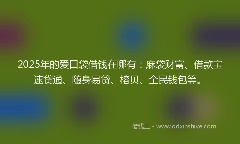 2025年的爱口袋借钱在哪有：麻袋财富、借款宝速贷通、随身易贷、榕贝、全民钱包等。