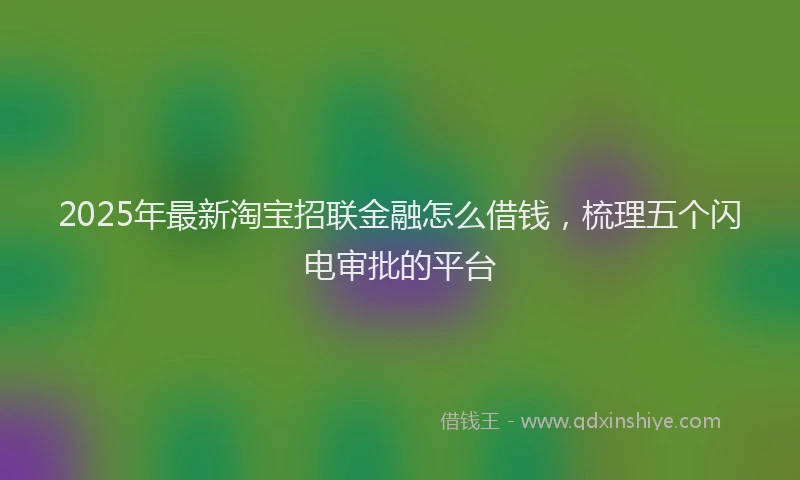 2025年最新淘宝招联金融怎么借钱，梳理五个闪电审批的平台