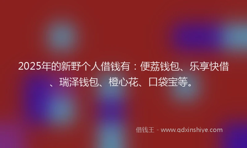 2025年的新野个人借钱有：便荔钱包、乐享快借、瑞泽钱包、橙心花、口袋宝等。