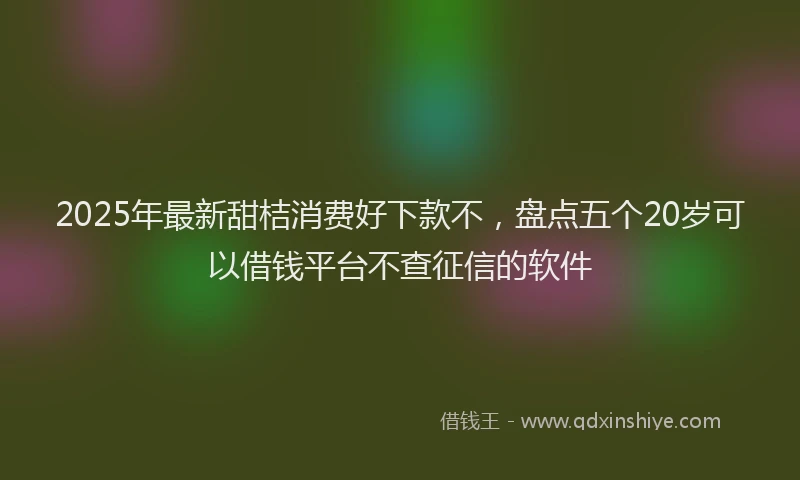 2025年最新甜桔消费好下款不，盘点五个20岁可以借钱平台不查征信的软件