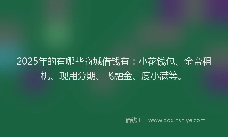 2025年的有哪些商城借钱有：小花钱包、金帝租机、现用分期、飞融金、度小满等。