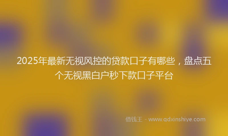 2025年最新无视风控的贷款口子有哪些，盘点五个无视黑白户秒下款口子平台
