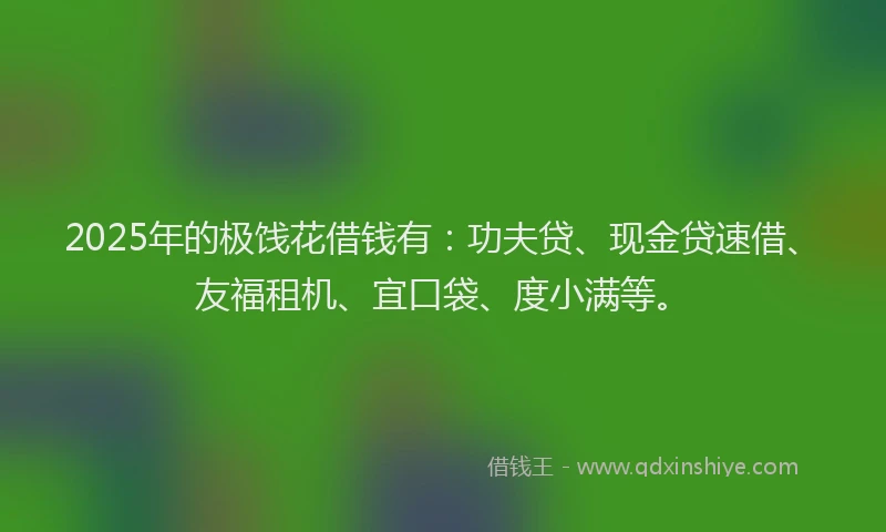 2025年的极饯花借钱有：功夫贷、现金贷速借、友福租机、宜口袋、度小满等。