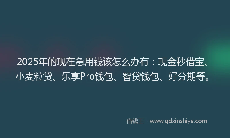 2025年的现在急用钱该怎么办有：现金秒借宝、小麦粒贷、乐享Pro钱包、智贷钱包、好分期等。