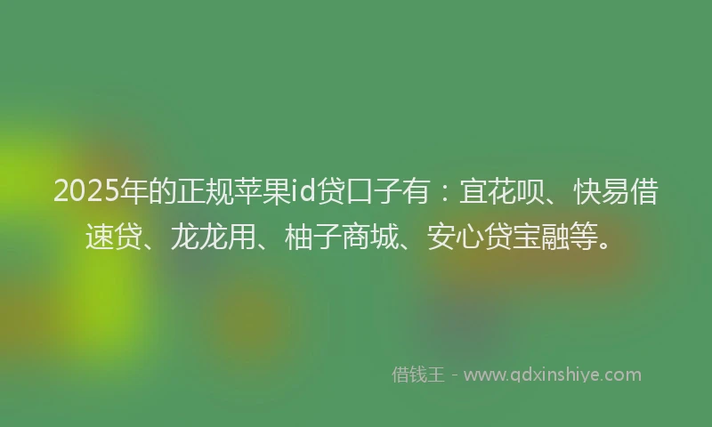 2025年的正规苹果id贷口子有：宜花呗、快易借速贷、龙龙用、柚子商城、安心贷宝融等。
